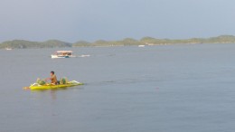 alaminos, maxines